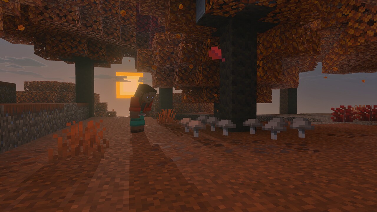 A dappled forest at sunset in Minecraft 26.3, with brown mushrooms and red shrubs under the poplars